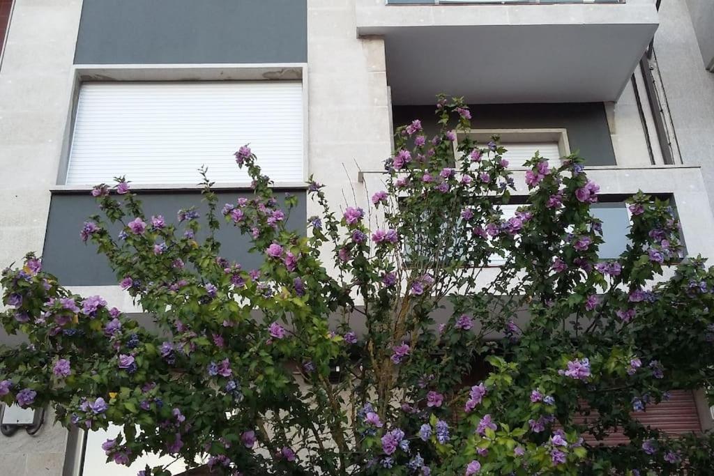 Coqueto Alojamiento Cercano A Las Termas A Ourense Exterior foto